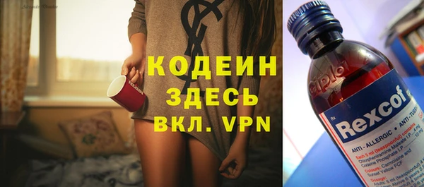 прущие грибы Белокуриха