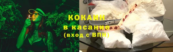 прущие грибы Белокуриха