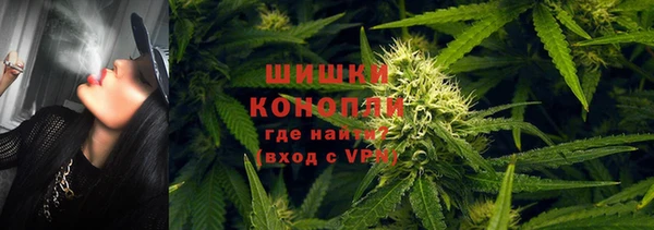 spice Беломорск
