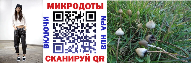 Псилоцибиновые грибы Psilocybine cubensis  где купить наркотик  Сковородино 